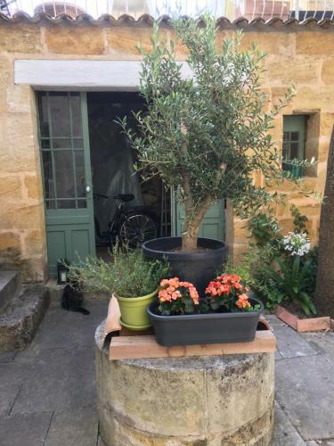 Hostal Maison De Ma�tre Elegia