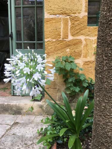Hostal Maison De Ma�tre Elegia