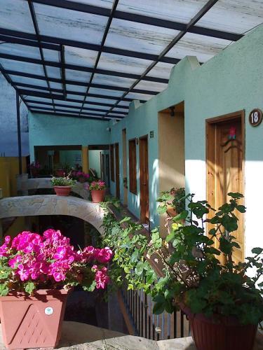 Hotel Ca�adas Del Sureste