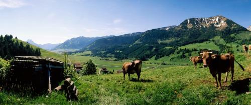 Hostal G�stehaus Perktold