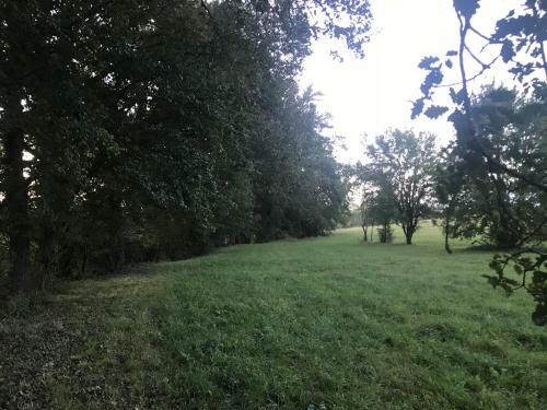 G�te La M�tairie Basse