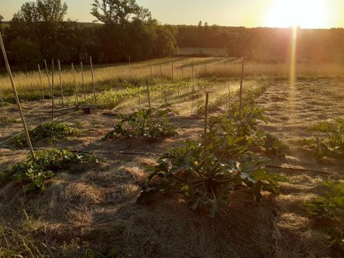 G�te La M�tairie Basse