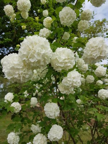 La Petite Maison Dans Le Quercy