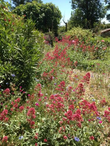 Les G�tes P�rard