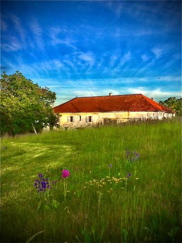 Bed & Breakfast Le Bouyssou