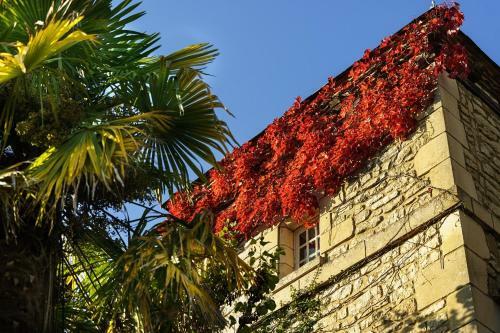 Ch�teau Du Raysse