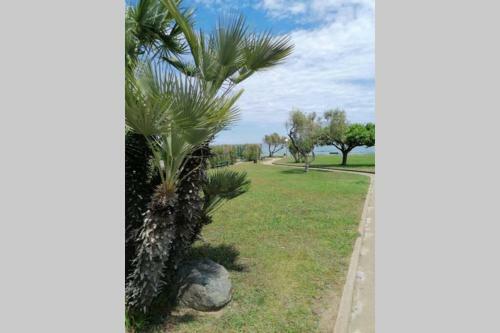 Apartamento Studio 4 Personnes Bord de Mer Avec Piscine
