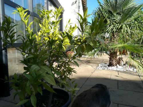 Bed & Breakfast La Rosaliere