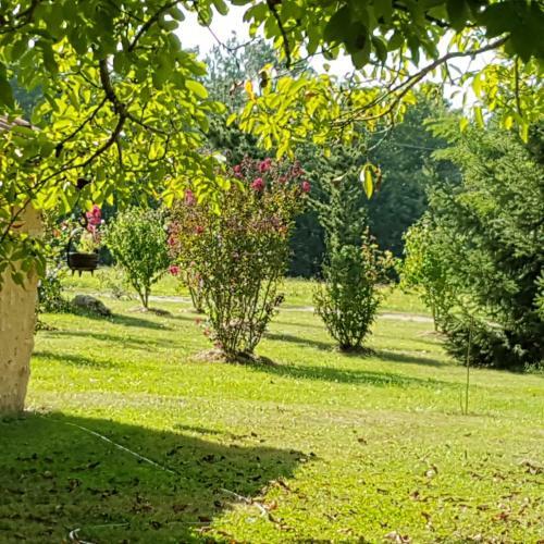 Bed & Breakfast La Salamandre