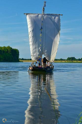 Hostal Les Orkys De Loire