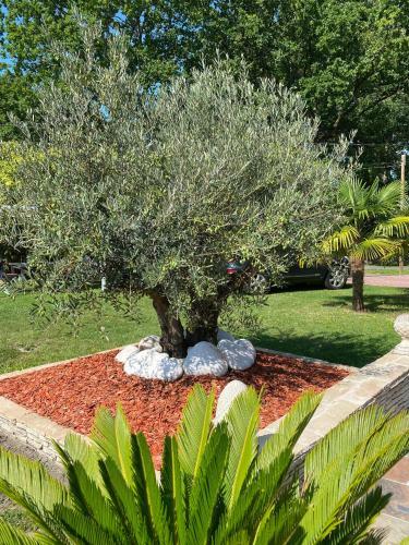 Hostal Le Clos Des Ch�nes