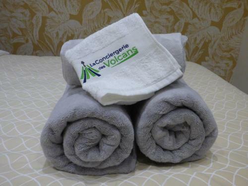 Apartamento Studio "la Bougnate" Paisible-wifi-proche Les Thermes-royat