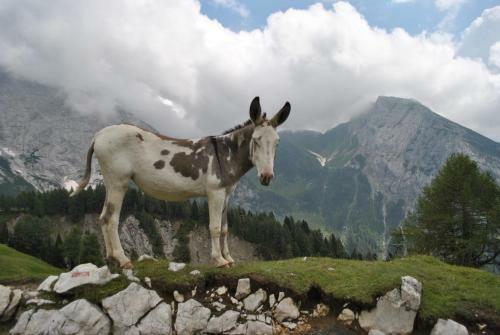 Bed & Breakfast Durmi E Insumiasci