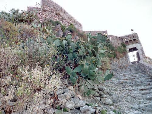 Apartamento Antico Palmento