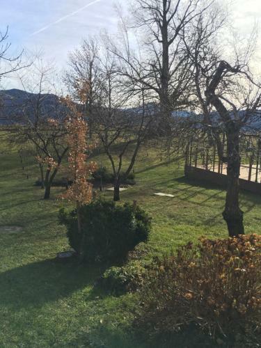 Agroturismo Terre Matildiche Country House