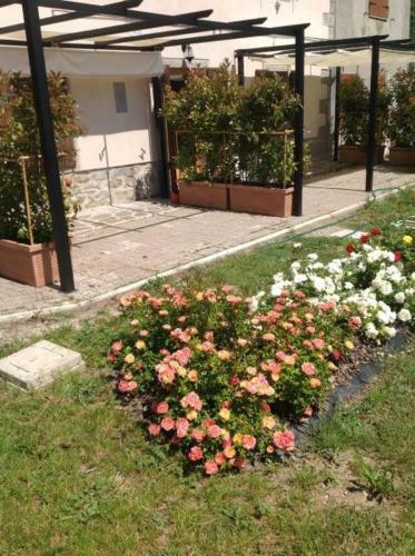 Agroturismo Terre Matildiche Country House