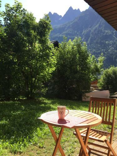 Apartamento Chamonix Studio Jardin