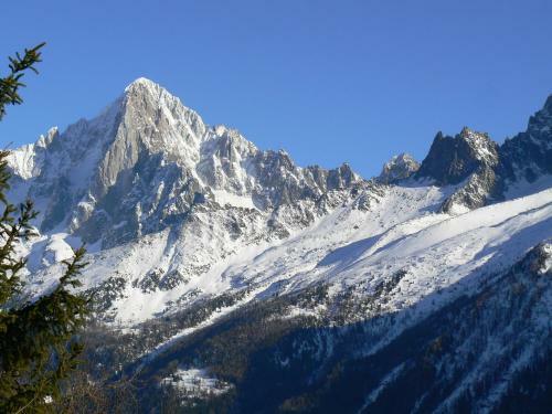 Apartamento Le Chamoniard