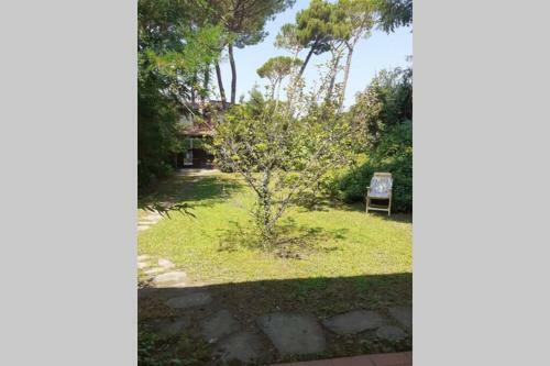 Casa Charming Immersa Nel Verde