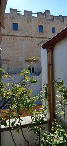 Apartamento La Casina