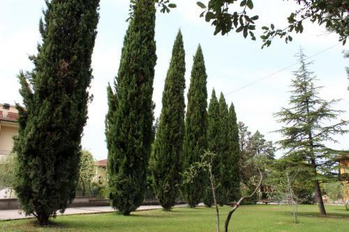 Apartamento Toskana Relax