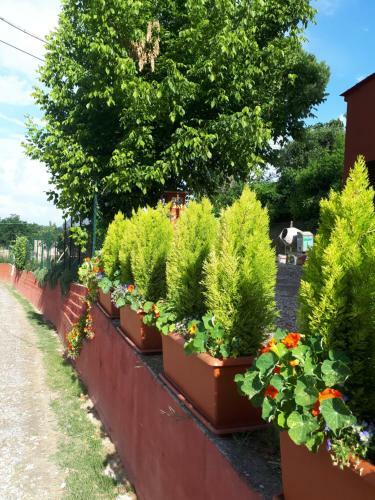 Hostal L'arca Affittacamere