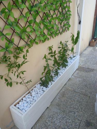 Apartamento Double Room