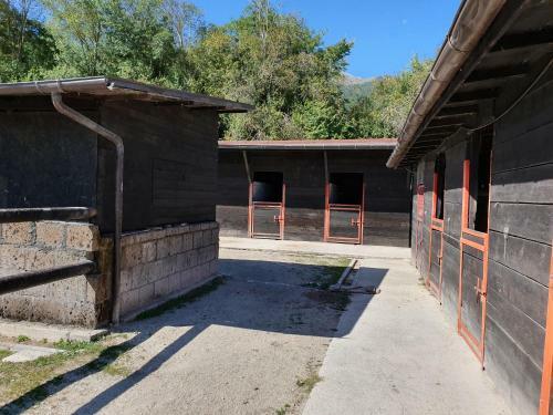 Il Vecchio Olmo
