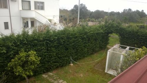 B&B La Seta Rossa