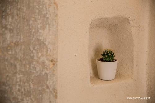 Suite Cavour - Ambra