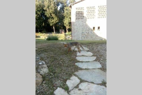 Apartamento Casa Il Corbezzolo In Borgo Storico