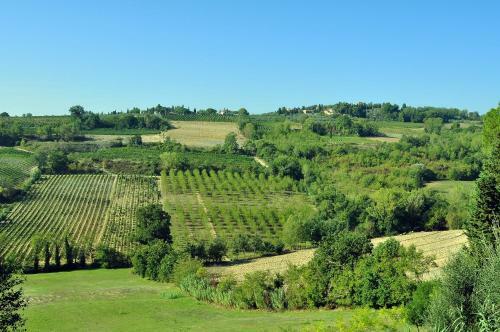 Apartamento Agriturismo Il Pino - Appartamento Querce