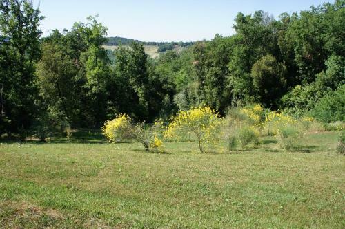 Villa Borgo La Fungaia