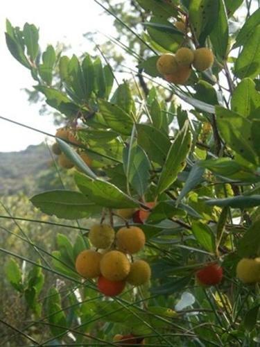 Azienda Agricola 25 Ponti