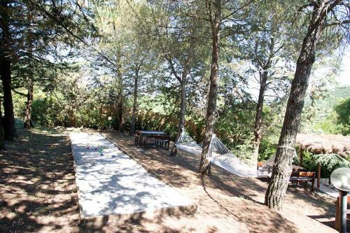 Villa Ginestra A "casa Conti Di Sotto"