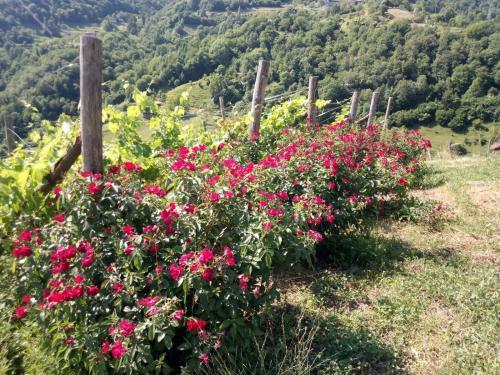 Hostal Ca' Del R�