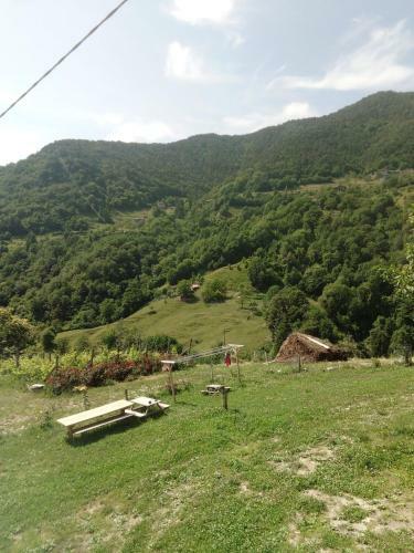 Hostal Ca' Del R�