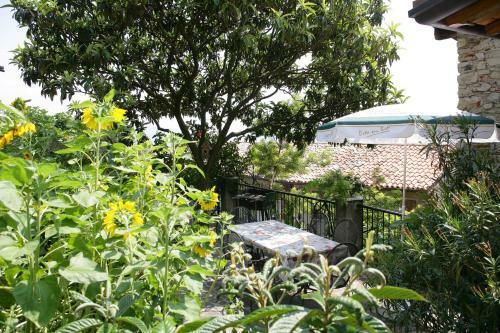 Apartamento Appartamenti Serena - Nonna Elvira