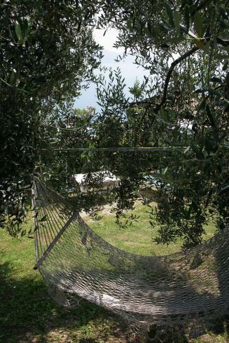 Apartamento Appartamenti Serena - Nonna Elvira
