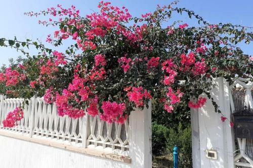Villa Jasmine, 100 Mt Dalla Spiagga, Baccumandara