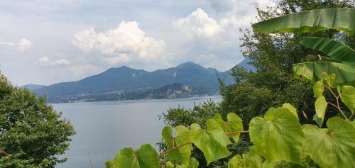 Apartamento Bella Vista Sul Lago Maggiore