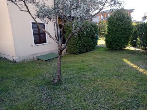 Apartamento Teo's Home