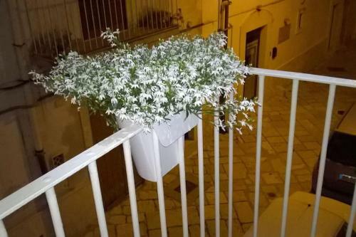La Perla Del Re
