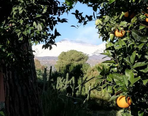 Apartamento Etna Mare Jonio