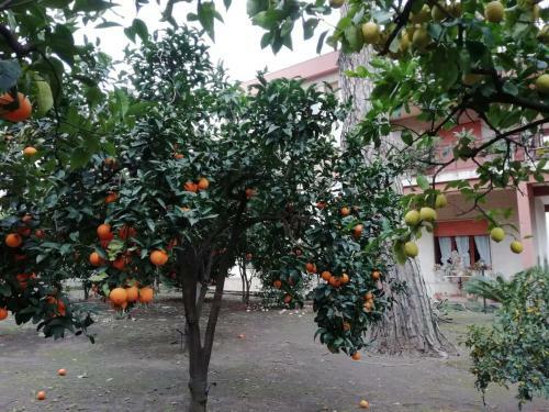 Apartamento Etna Mare Jonio