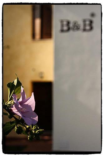B&B Nascondino