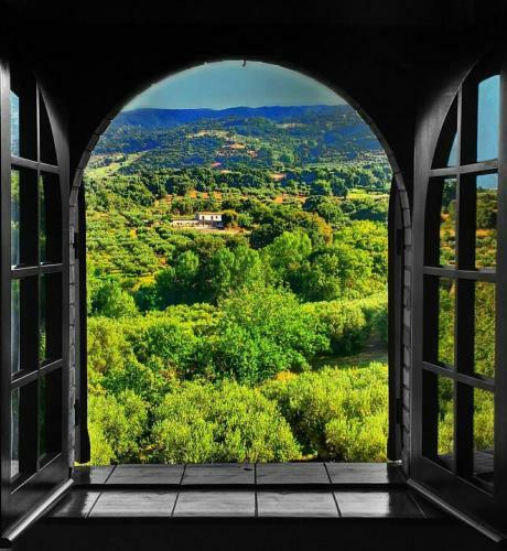 Bed & Breakfast Villa Amalia