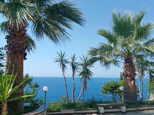 B&B Villa Skino
