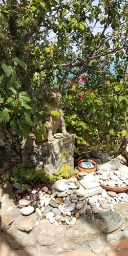 Dimora Tra Cielo E Mare A Gioiosa Marea