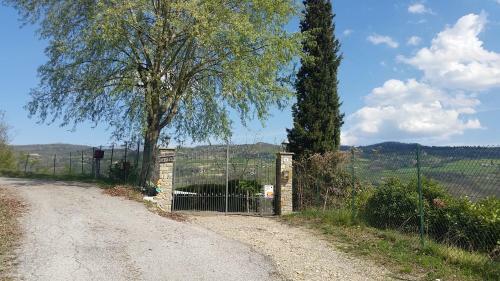 Bed & Breakfast C� D' Fefi